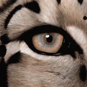 杨颖大胸被揉到高潮下不了床
