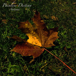 杨颖大胸被揉到高潮下不了床
